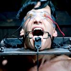 Third pic of SexPreviews - Elise Graves bound upside down with different kinky toys making her scream