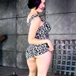 First pic of SexPreviews - Iona Grace busty strips animal print outfit in bondage with vibrating sex toys