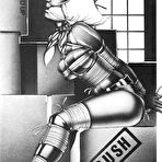 Second pic of Elite BDSM Comics