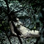 Fourth pic of Barbara Goenaga shows boobs and pussy movie captures