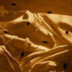 Third pic of  Hilary Swank naked photos. Free nude celebrities.