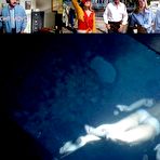 Third pic of Melanie Griffith