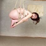 Third pic of Balltie Suspension