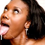 Fourth pic of LeWood Pictures