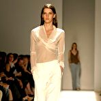 First pic of Diana Dondoe see through and titslip runway shots