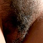 Third pic of hairy neighbours