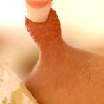 Third pic of Paola Rey - Paola Rey shows her tits, her hard nipples and shows her nasty and wet shaved pussy