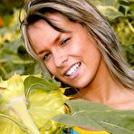 First pic of Clubseventeen Dirty teen toying her pussy in a sunflower field