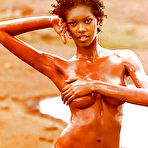Second pic of Wild Africa