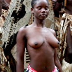 Third pic of Wild Africa
