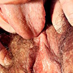 Fourth pic of Porn Pioneers