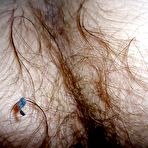 Third pic of HAIRY THICKETS