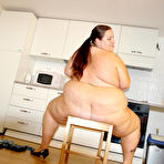 Second pic of Chubby mature slut gets fucked hard and long