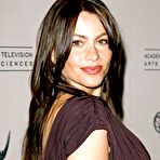 Third pic of Busty Sofia Vergara shows nice cleavage at Pre Oscar party