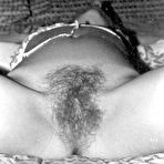Fourth pic of Hairy Retro Pussies