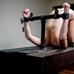 First pic of SexPreviews - Veruca James is stripped and leather strap bound fucked with stick dildo