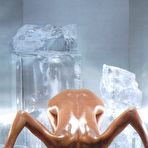 Fourth pic of petra nemcova hq pictures @ 12pix