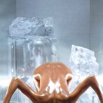 Fourth pic of Petra Nemcova