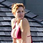 Fourth pic of Stephanie Seymour shows deep cleavage in bikini
