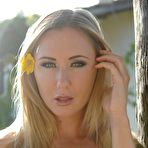 Fourth pic of PinkFineArt | Sam Tye Yellow Flower from Hayleys Secrets