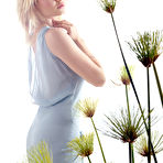 First pic of elisha cuthbert sexy hq pictures @ 12pix