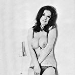 Third pic of Vintage Hairy Club