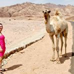 First pic of BJ and sex on a beach - porntraveling.com