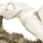 Fourth pic of Retro hairy cunts