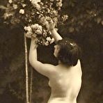 Third pic of PinkFineArt | 30s Beautiful Bottoms from Vintage Classic Porn