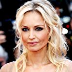 First pic of Adriana Karembeu in gray night dress at premiere in Cannes redcarpet