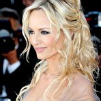 Fourth pic of Adriana Karembeu in gray night dress at premiere in Cannes redcarpet