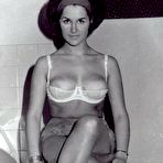 Fourth pic of Hairy Retro Pussies