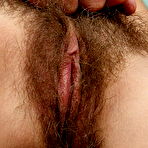 Second pic of hairy neighbours