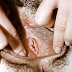 Second pic of Hairy Wife