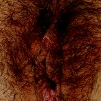 Second pic of pregnant fantasies