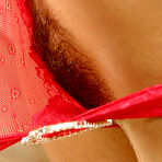 Second pic of ATK Hairy - The Original :: Still the Biggest, Still the Best!