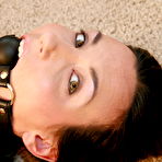 Fourth pic of Mistress Claire - Femdom pictures and videos of Mistress Claire and her slaves, including foot worship, bondage, whipping, humiliation.