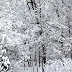 Fourth pic of Index of /blog1/gallery/logos