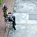 Fourth pic of Steel Chair