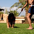 Fourth pic of Dog Training - Very painful but erotic training of a beautiful pet!