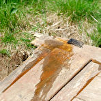 Fourth pic of Pee Hunters - the ultimate pissing porn site. Outdoor pee spy camera shots, spy pee movies, voyeur pissing movies, pee and pissing photos on PeeHunters.com. Highest quality pee spy content!