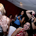 Second pic of Tale of the Dancing Bear