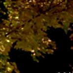 Fourth pic of Carmen Electra naked, Carmen Electra photos, celebrity pictures, celebrity movies, free celebrities