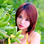 Third pic of Idol Cheer @ AllGravure.com