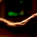 Second pic of Elisha Cuthbert naked, Elisha Cuthbert photos, celebrity pictures, celebrity movies, free celebrities