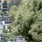 Third pic of Fushia - Public nudity in San Francisco California