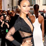 Fourth pic of Zoe Saldana absolutely naked at TheFreeCelebMovieArchive.com!