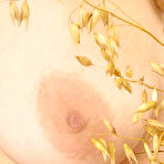 Fourth pic of ATK Natural and Hairy
