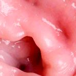 Fourth pic of Japanese shaved pussies 2