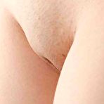 Second pic of Japanese shaved pussies 2